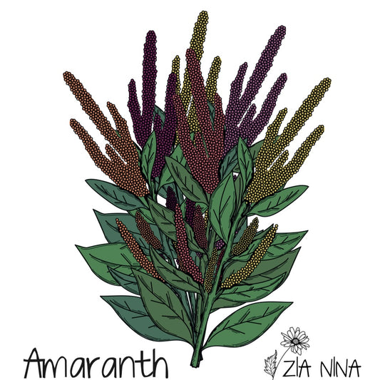Amaranthus cruentus Mix