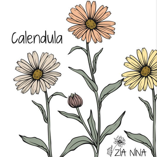 Calendula officinalis Mix